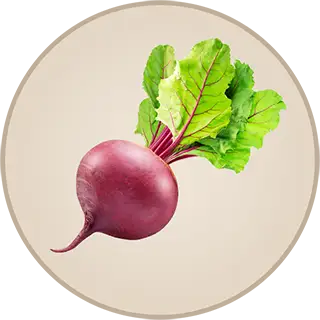 Beet root with leaves