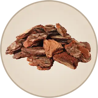 Pile of Maritime pine bark