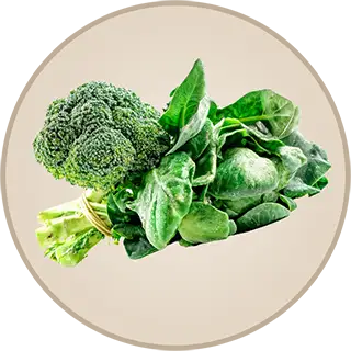 Bunch of broccoli and spinach